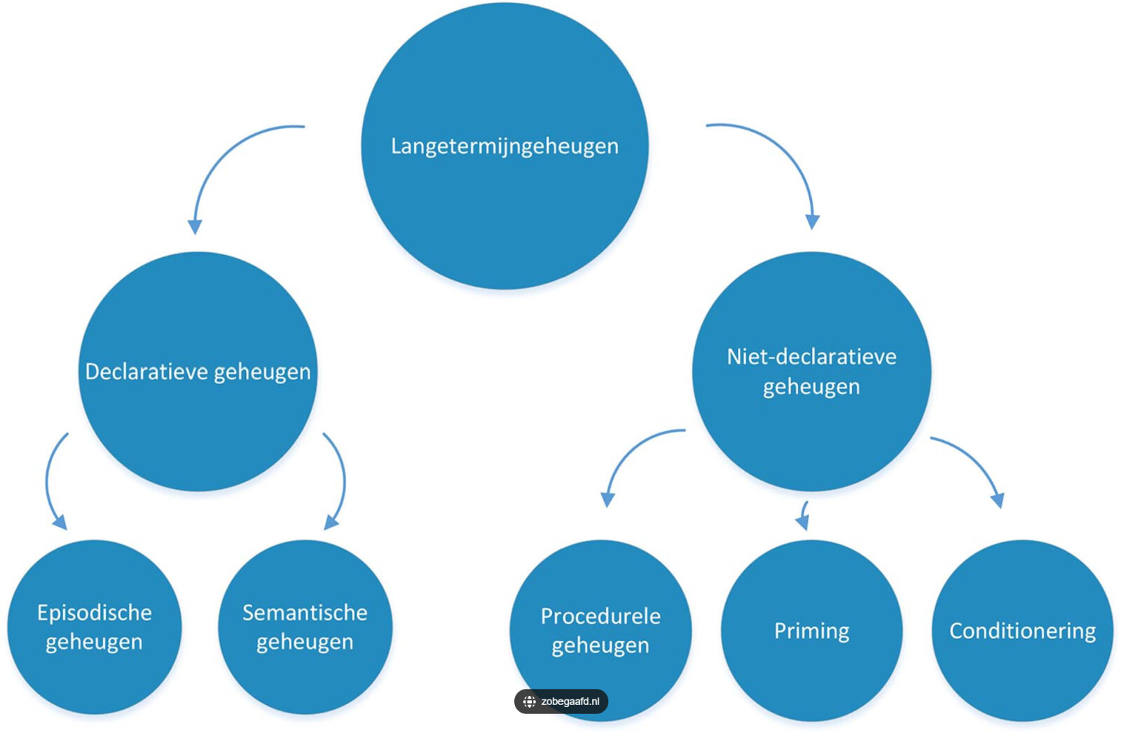 langetermijngeheugen.jpg